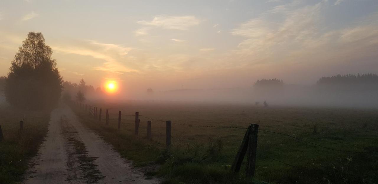 Zdalnie Z Lasu - Siedlisko W Puszczy Bialowieskiej Narewka Dış mekan fotoğraf