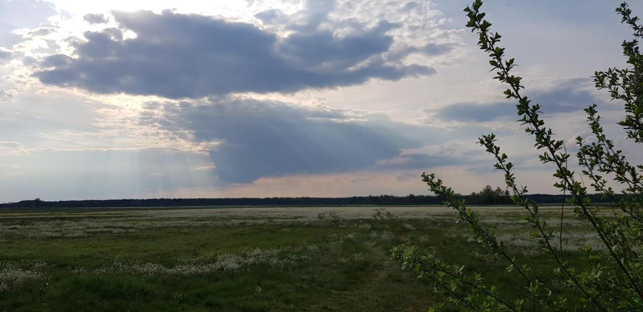 Zdalnie Z Lasu - Siedlisko W Puszczy Bialowieskiej Narewka Dış mekan fotoğraf