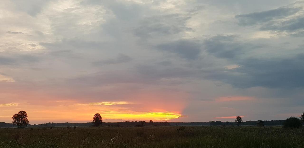 Zdalnie Z Lasu - Siedlisko W Puszczy Bialowieskiej Narewka Dış mekan fotoğraf